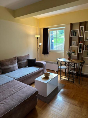 Suncani apartman 36, Brzece